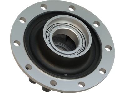 Rear Wheel Hub Assembly