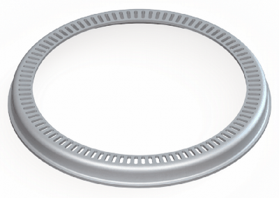 Gunite ABS Ring